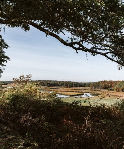 scotlandfields_oct2019_075